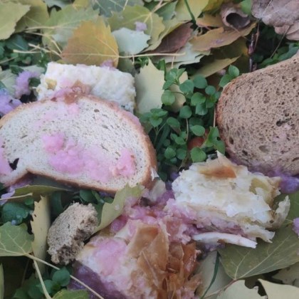 Пловдивчани твърдят че отрова е била разпръсната по улица в