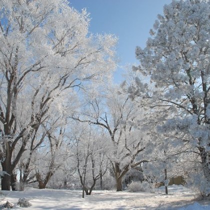 Рекорден студ скова град Хулун Буир в северния китайски автономен
