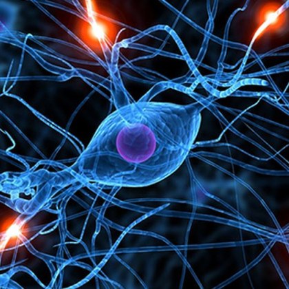 Стимулирането на един от двата важни нерва които пренасят съобщения