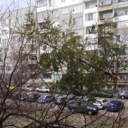 Коледните празници отмениха време е да се прибира и украсата