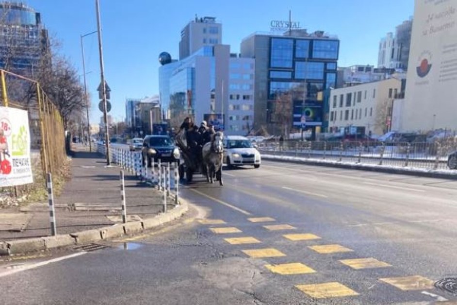 Не пак, а отново: талига шпори из София СНИМКА