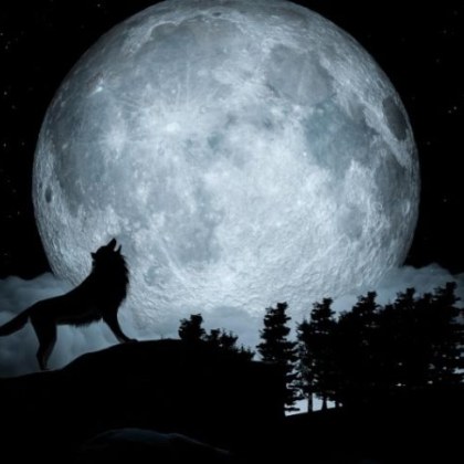 2025 година започна символично с Новолуние така че не е