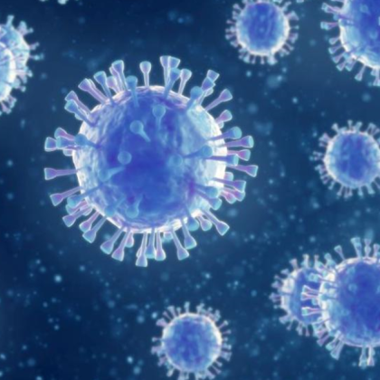 Първият лабораторно потвърден случай на човешки метапневмовирус HMPV беше открит