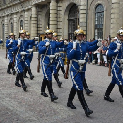 Караулен на кралския дворец в Стокхолм се подхлъзна падна и случайно
