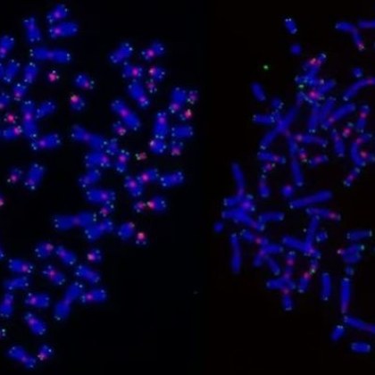 Изследователи са разрешили голяма мистерия в онкологията която остава неразгадана