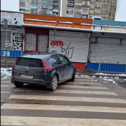 Водач успя да събере погледите на пешеходците и останалите си