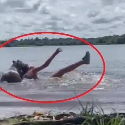 Жена плуваща в езерце беше нападната от капибара най големия гризач