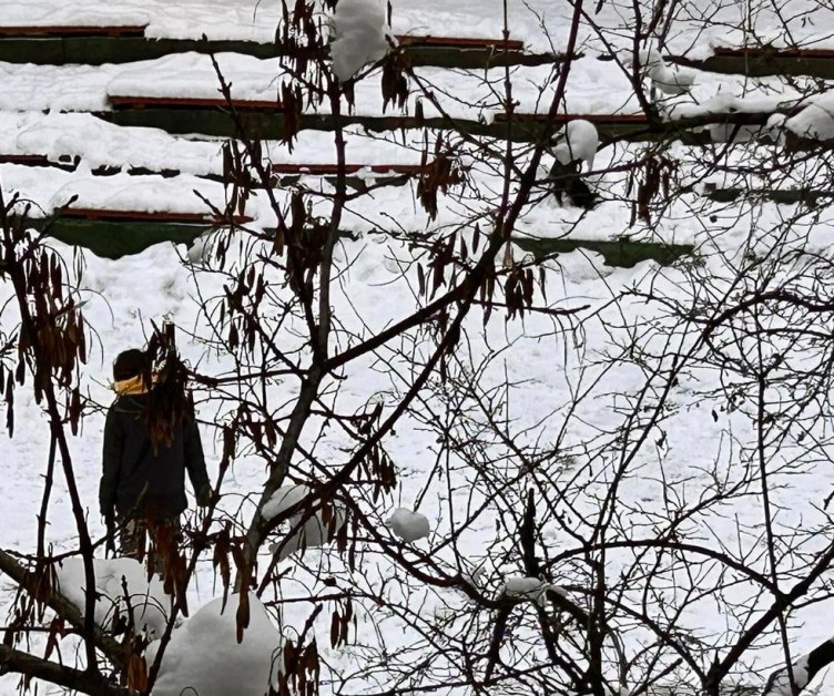 Редно ли е? Разхождат кучета в столично игрище, не чистят СНИМКИ