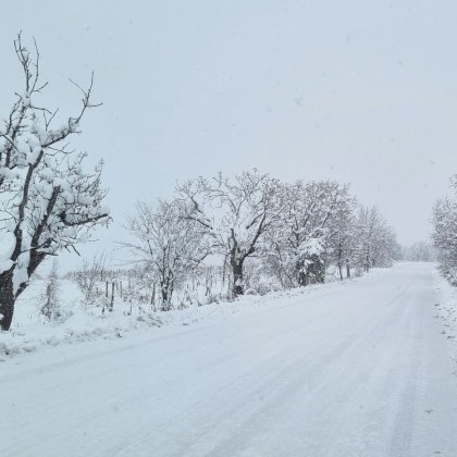 Близо 30 см сняг наваля в някои села в Асеновградско Обработването