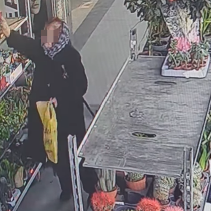 Кражба на цветя в Пловдив стана повод за гореща дискусия