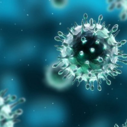 Област Видин е в предепидемична обстановка Заболеваемостта там през изминалата