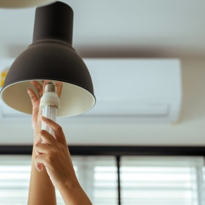 Психолози от университета в Ню Йорк проведоха интересен тест сред