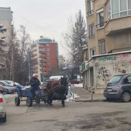 Каручки продължават да газят закона и да пъпля из София