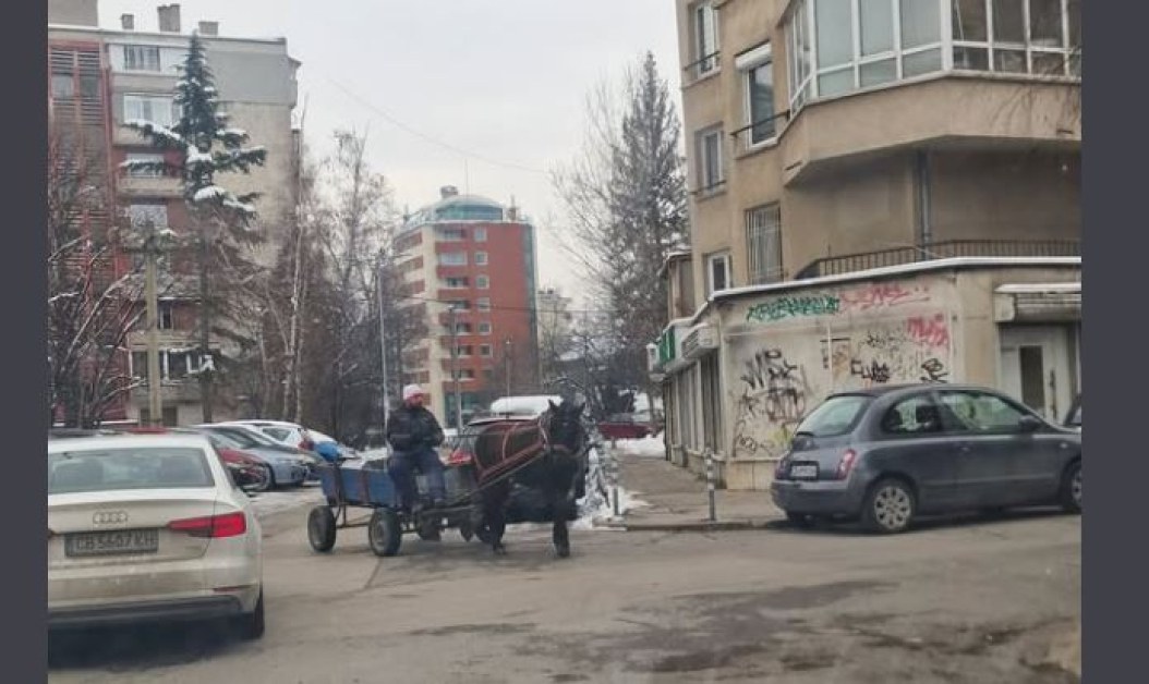 Столичанин: Много eвропейско и напълно незаконно! СНИМКА