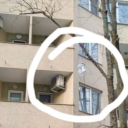 Вентилатор виси от дърво в София Куризната гледка изненадва столичани