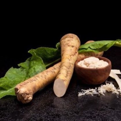 Хрянът лат Armoracia rusticana е многогодишно растение от семейтво Кръстоцветни