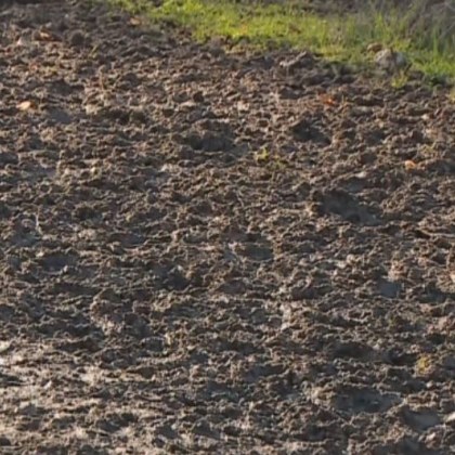 Фермер заплаши екип на националната телевизия при проверка по зрителски