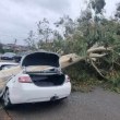 Проливни дъждове и ветрове удариха Австралия