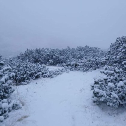 Мъж е починал в района на Маркуджик в зимния курорт