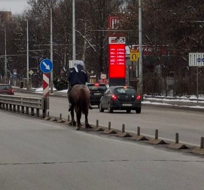 Конник препуска из София СНИМКА