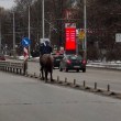 Столични гледки: конник препуска по булевард  СНИМКА