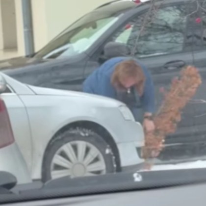 Шофьор на автомобил улови как жена чупи две млади дръвчета