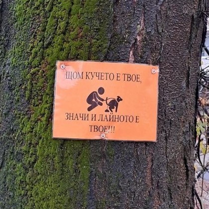 С публикация в социалните мрежи кучкарка попита стопаните на кучета каква