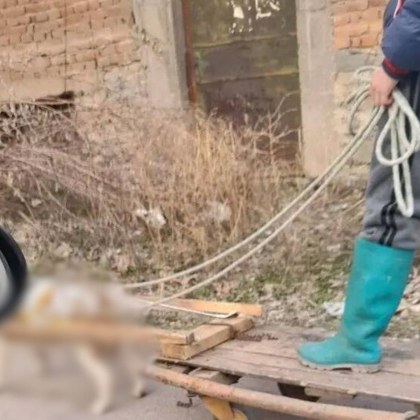 Скандална снимка се разпространи в социалните мрежи На кадъра се