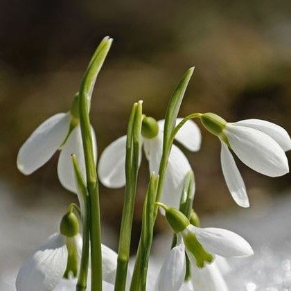 С пролетни температури изпращаме последния ден от работната седмица