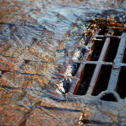 Опасна сцена се е разиграла във видинското село Гъмзово Вчера