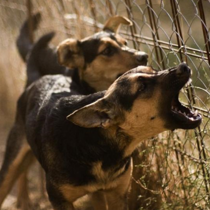 Вчера на 25 януари Христина Китипова жителка на квартал Запад