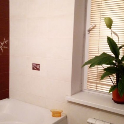 Банята е идеална среда за развитие на бактерии тъй като има