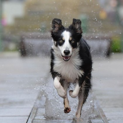 Поведението на шофьор в София впечатли гражданин Атанас Кръстанов станал свидетел