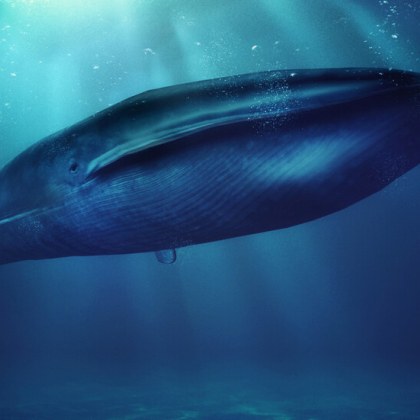 Край бреговете на Шотландия флотът откри два мистериозни звука в