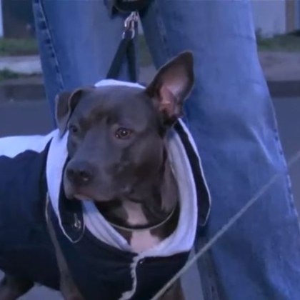 Жена от квартал Меден рудник в Бургас разказа в социалните