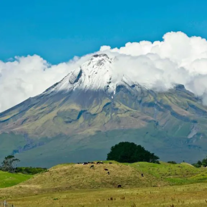 След години на преговори в Нова Зеландия бе прието споразумение