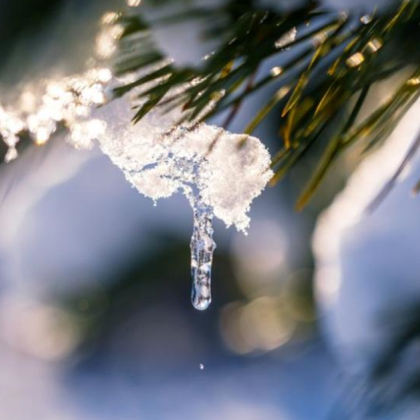 И в неделя – 2 февруари в началото не деня