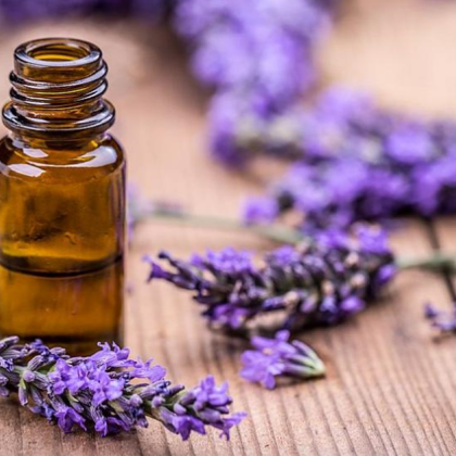 В сезона на вирусите когато имунитетът ни е подложен на