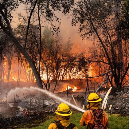 Опустошителните пожари в Лос Анджелис и околните райони вече са