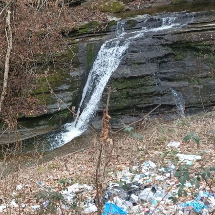 България има невероятна природа но пазим ли я така както