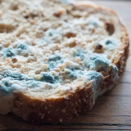 След дълго пазаруване и редене в безкрайните опашки е малко