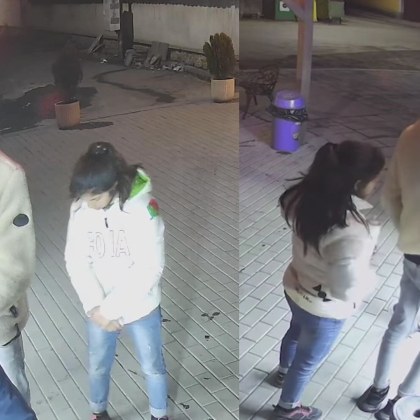 Сосове и чубрица е плячката на трима младежи от Ихтиман 4