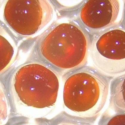 Екип от учени намери начин да обърне пукнатините в битума