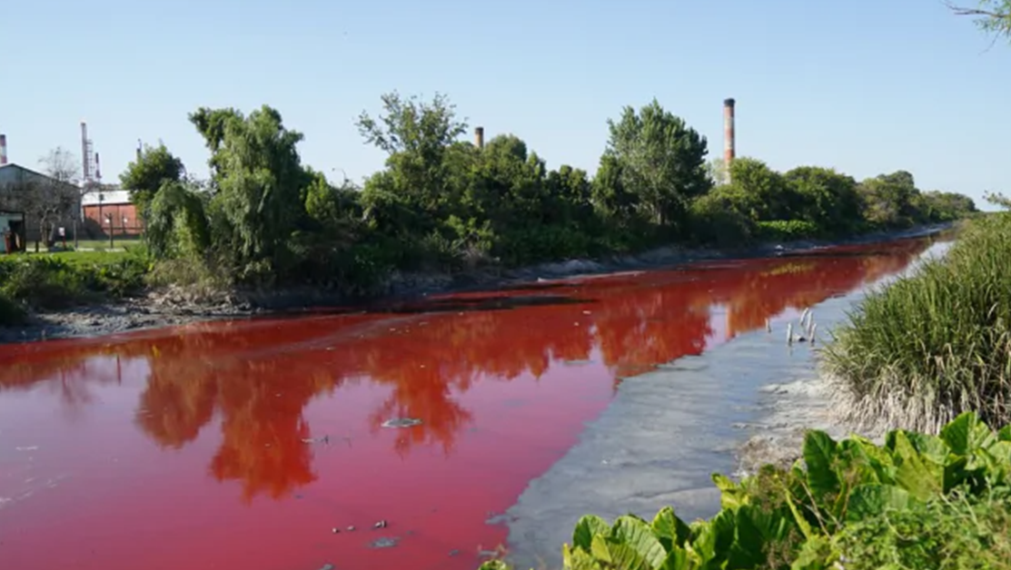 Канал в Аржентина стана кървавочервен, яркият цвят на водата разтревожи учени ВИДЕО