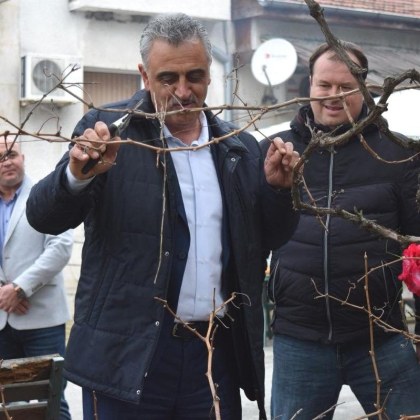 С множество конкурси за най добър майстор на вино ракия мезета