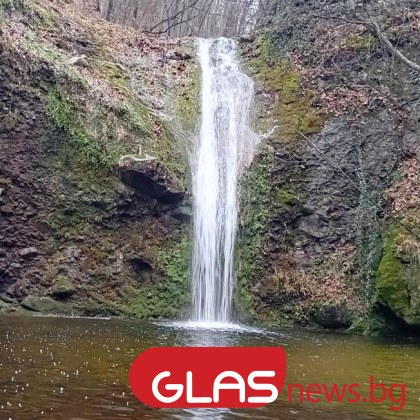 Въпреки че кокичетата цъфнаха а на места се завърнаха и