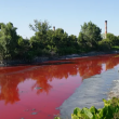 Канал в Аржентина стана кървавочервен, яркият цвят на водата разтревожи учени ВИДЕО