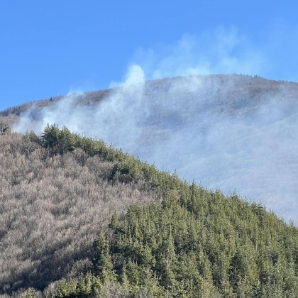 Екип на Държавното горско стопанство Якоруда овладя и потуши пожар