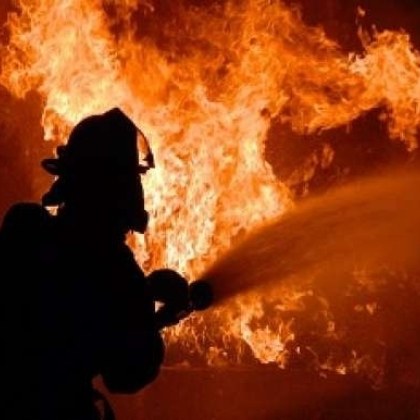 Пожар гори в птицеферма в чирпанското село Свобода в близост