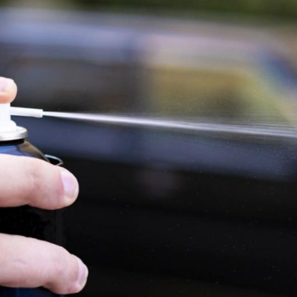 21 ученици от Техническата гимназия Георге Дука в Констанца в